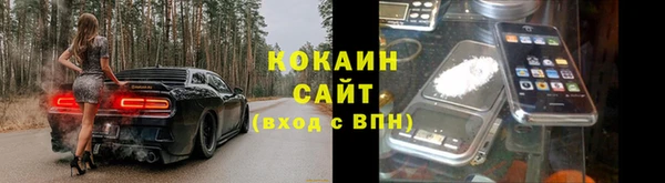 прущий лед Новозыбков